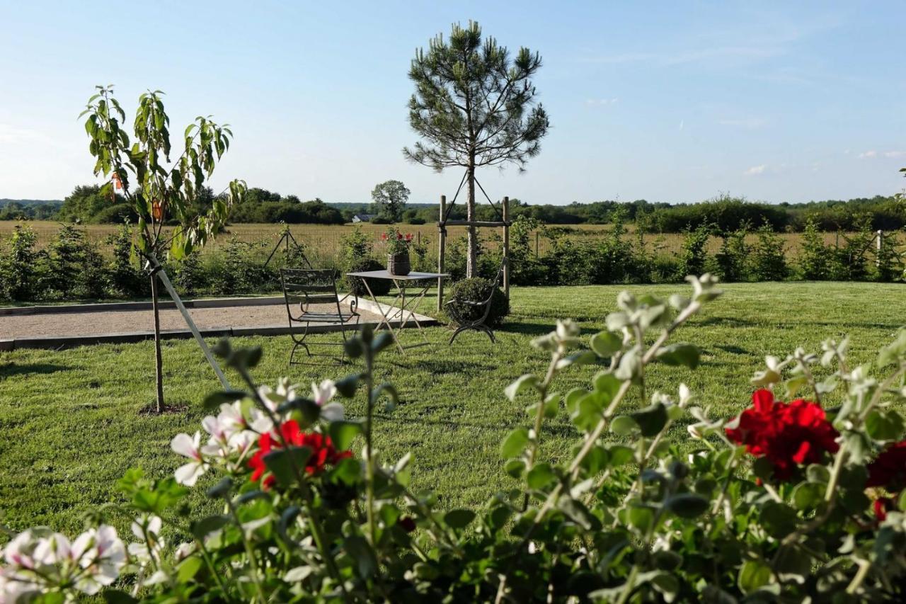 Le Montillon Tour-en-Sologne Bagian luar foto